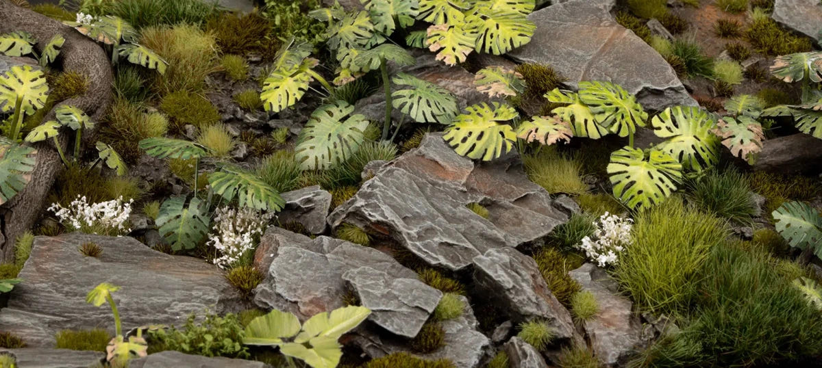 Gamers Grass Laser Plants Monstera growing among slate rocks and tufts on a jungle base