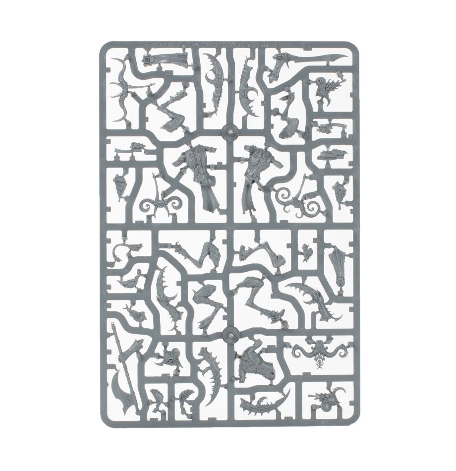Hedonites of Slaanesh: Slaangor Fiendbloods sprue contents - Loaded Dice