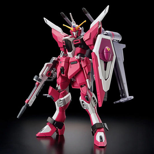 HG 1/144 INFINITE JUSTICE GUNDAM Type?
