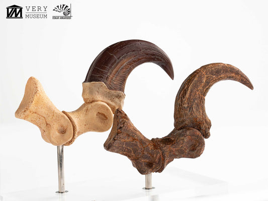 Jurassic Park Velociraptor Foot Statue 20 cm ETA Aug 2026 - Loaded Dice