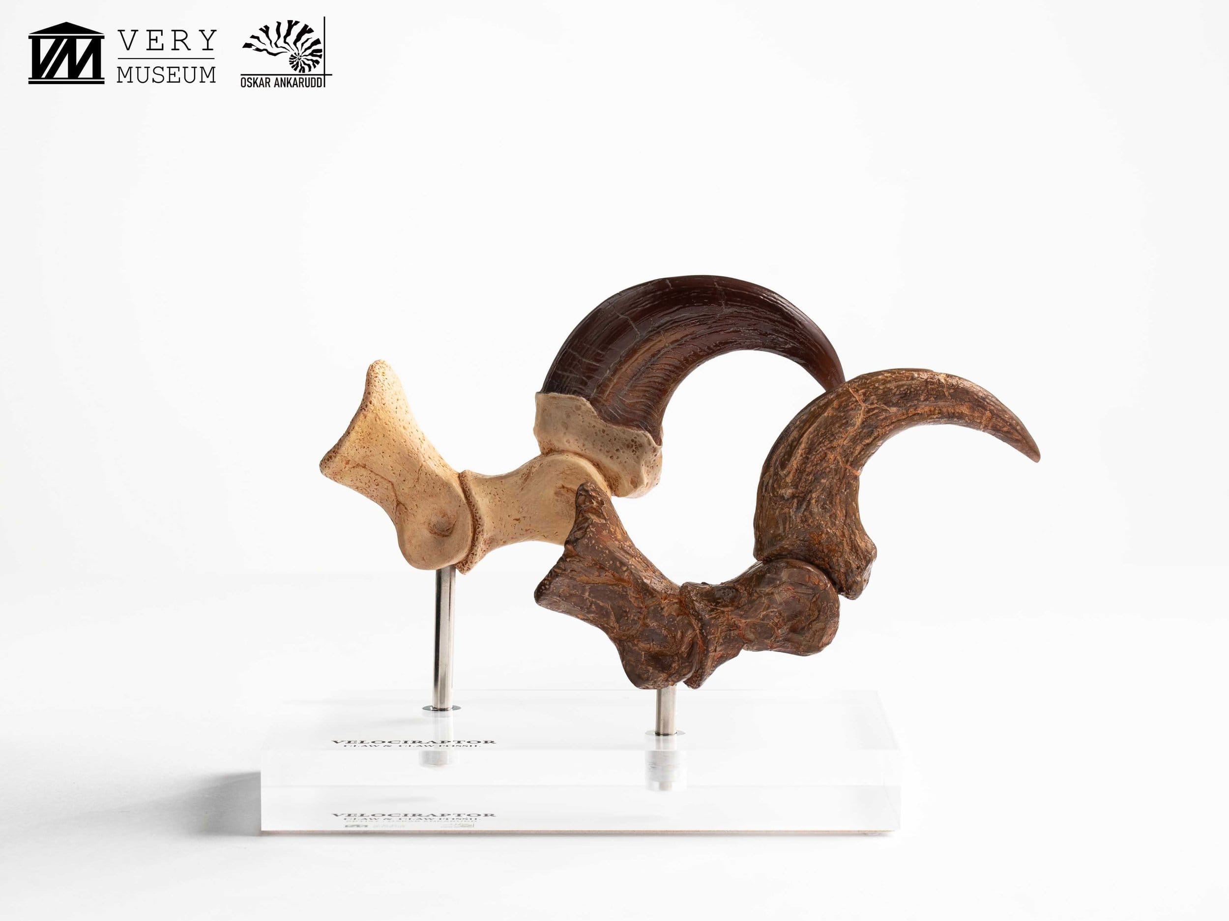 Jurassic Park Velociraptor Foot Statue 20 cm ETA Aug 2026 - Loaded Dice