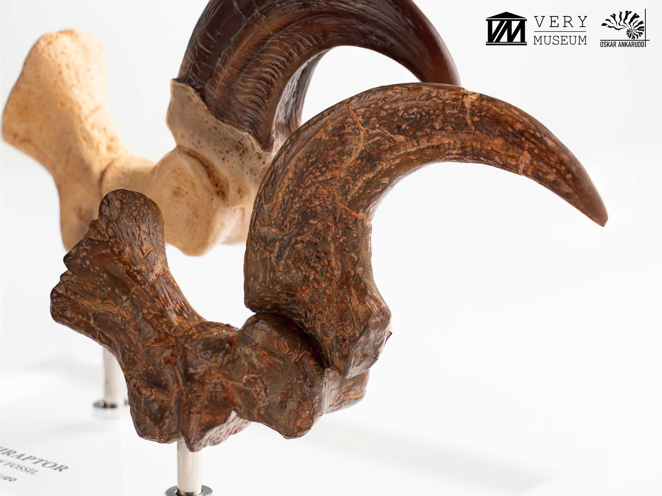 Jurassic Park Velociraptor Foot Statue 20 cm ETA Aug 2026 - Loaded Dice