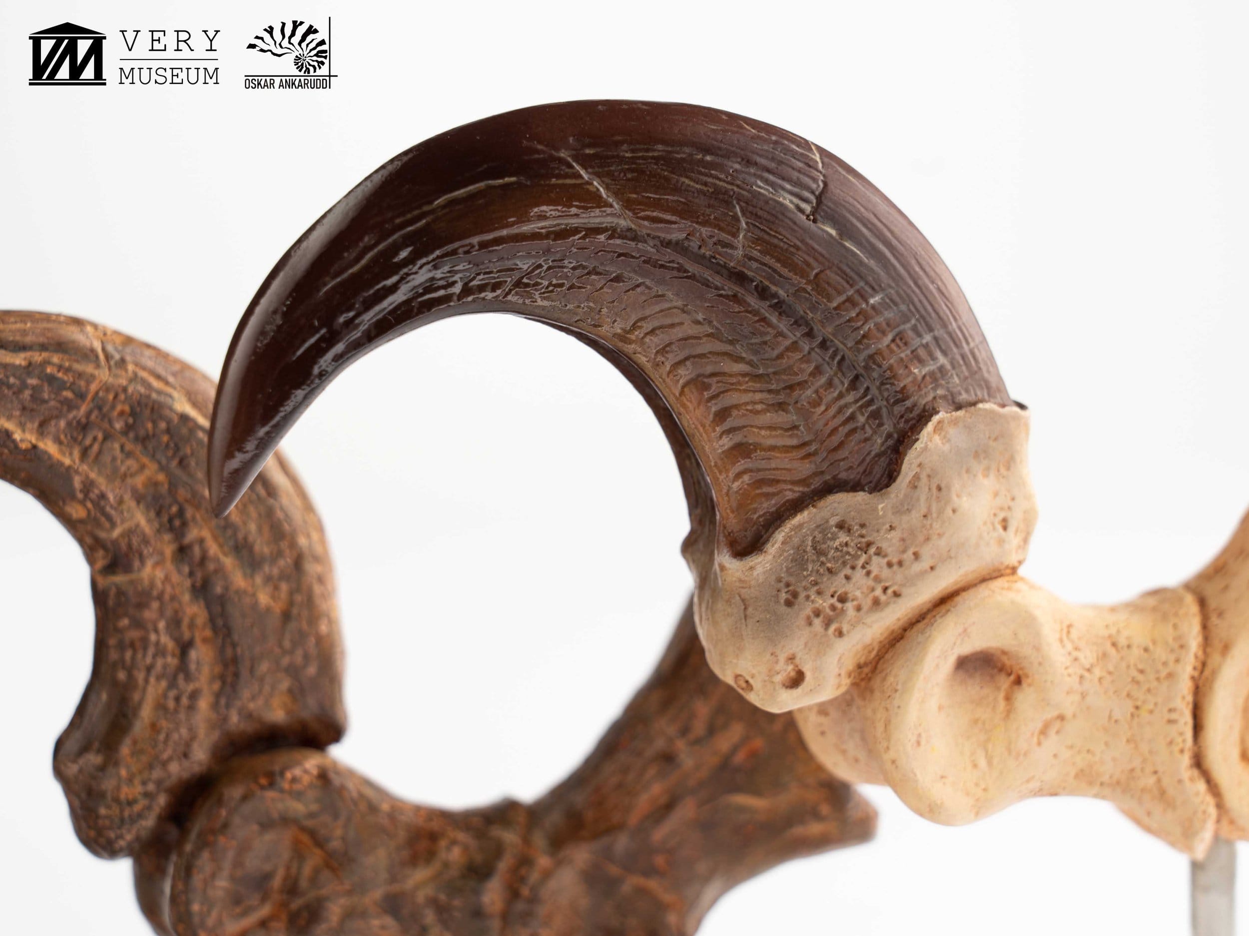 Jurassic Park Velociraptor Foot Statue 20 cm ETA Aug 2026 - Loaded Dice