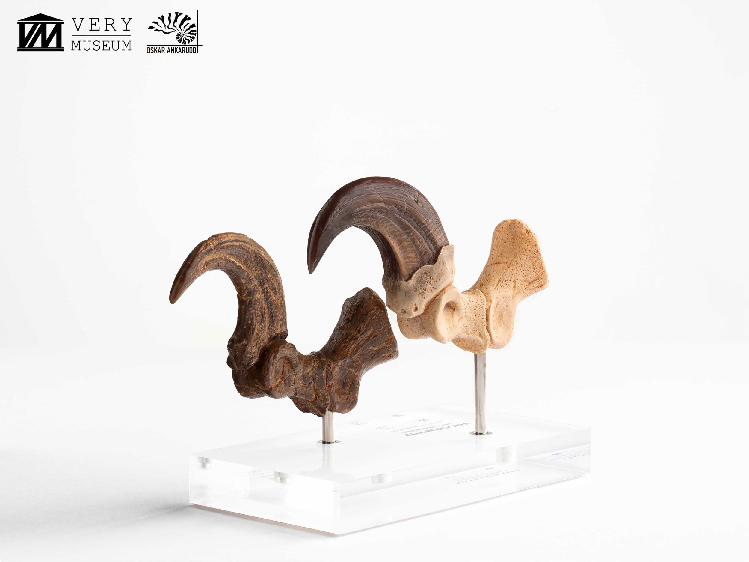 Jurassic Park Velociraptor Foot Statue 20 cm ETA Aug 2026 - Loaded Dice