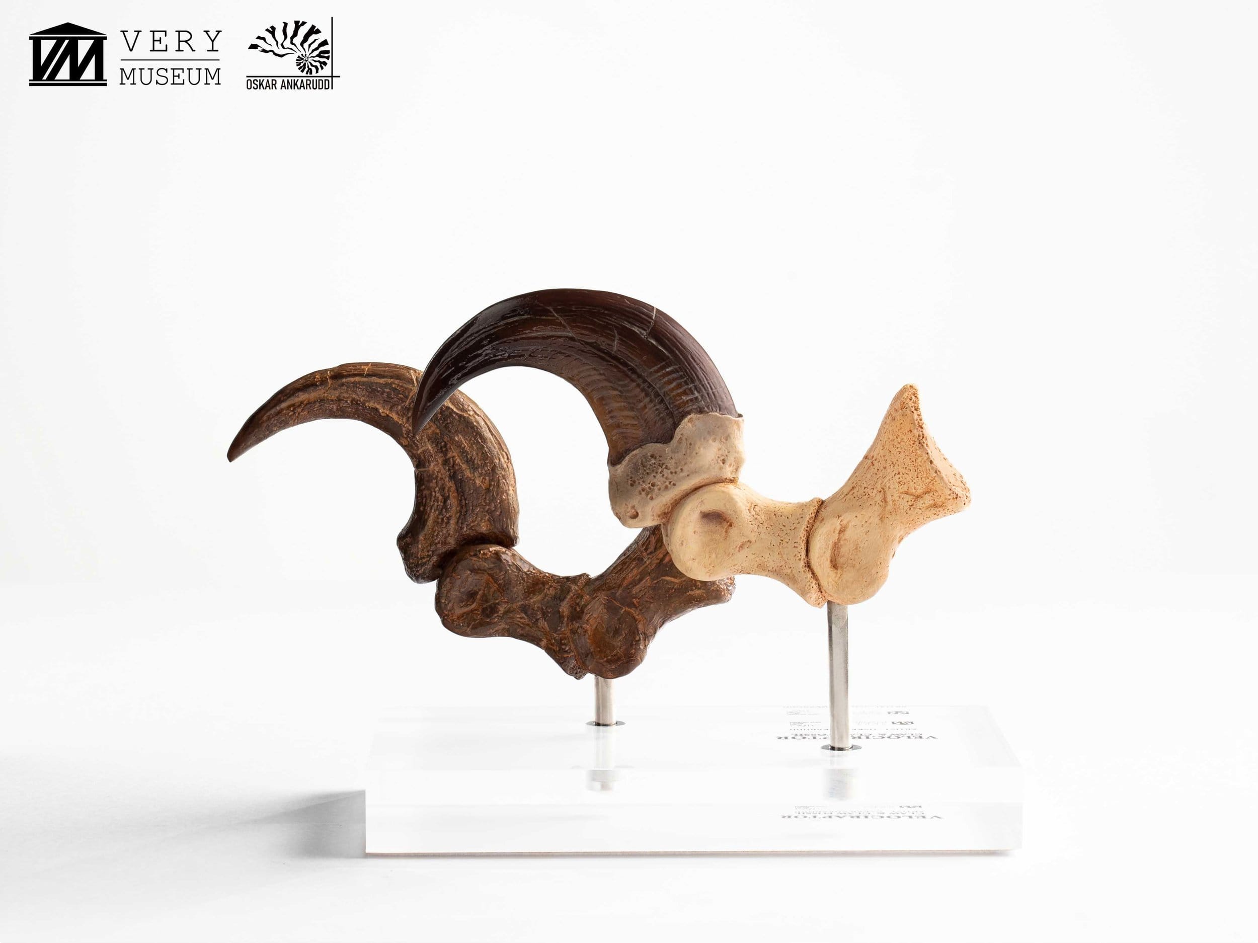 Jurassic Park Velociraptor Foot Statue 20 cm ETA Aug 2026 - Loaded Dice