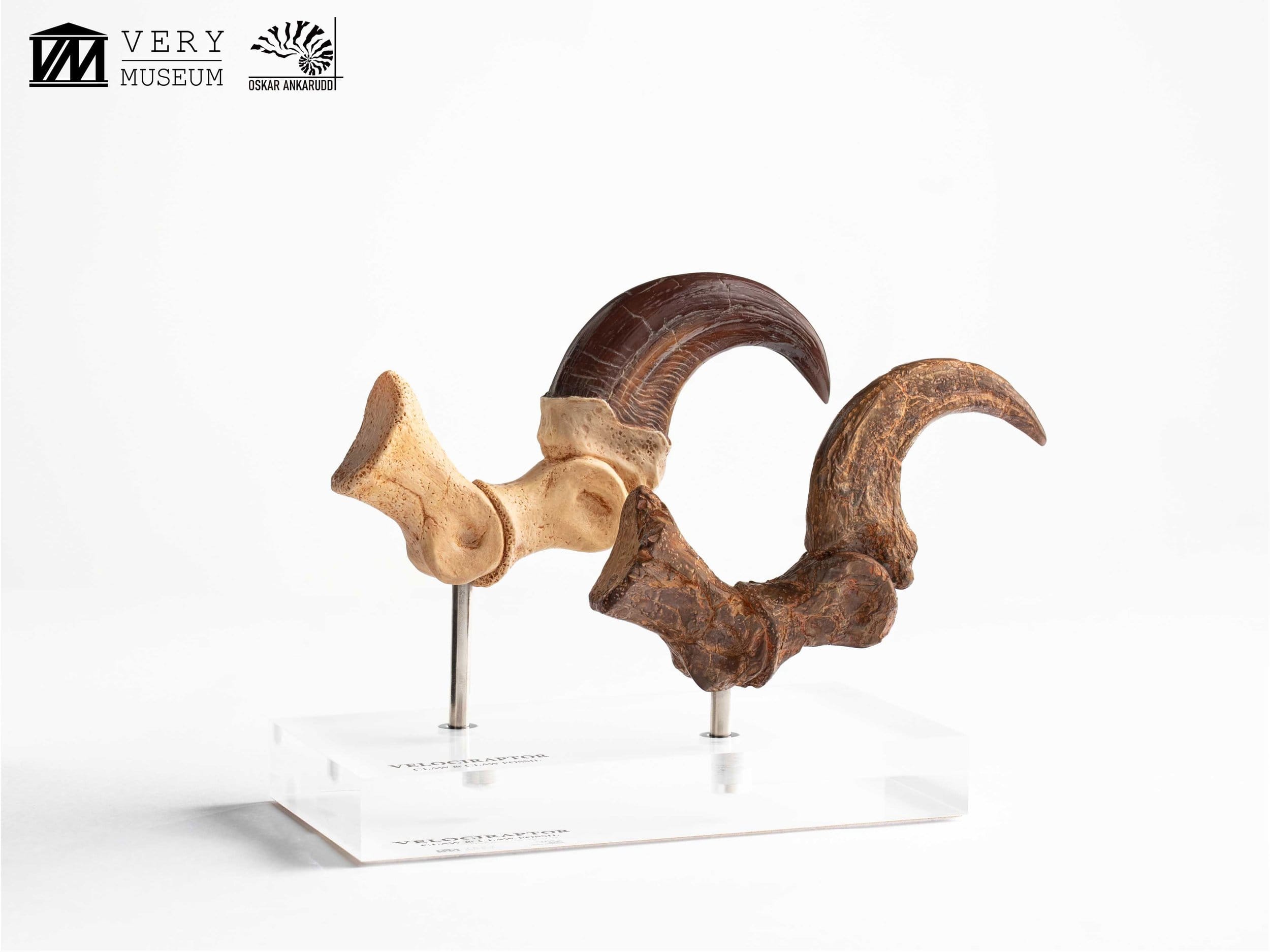 Jurassic Park Velociraptor Foot Statue 20 cm ETA Aug 2026 - Loaded Dice