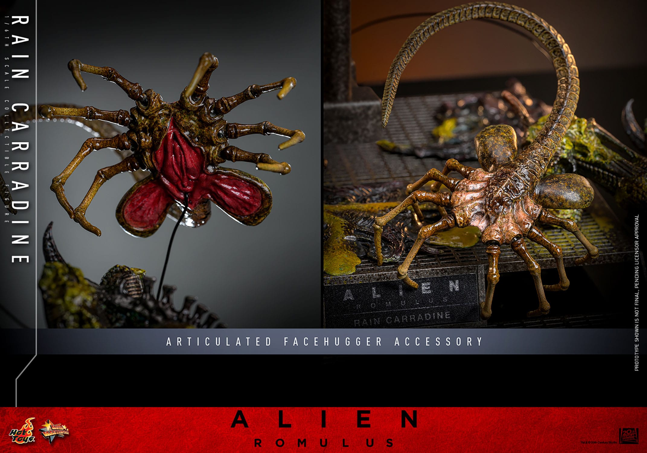 Hot Toy Alien: Romulus Movie Masterpiece Rain Carradine 26cm - Loaded Dice