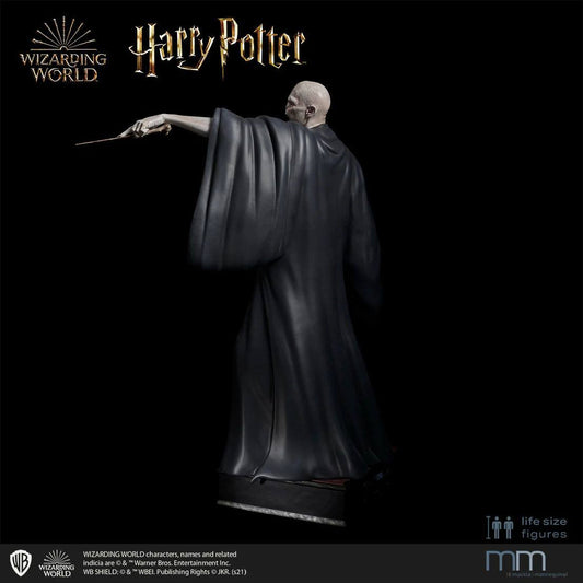 Harry Potter and the Deathly Hallows Life-Size Statue Voldemort 211 cm ETA Mar 2027 - Loaded Dice