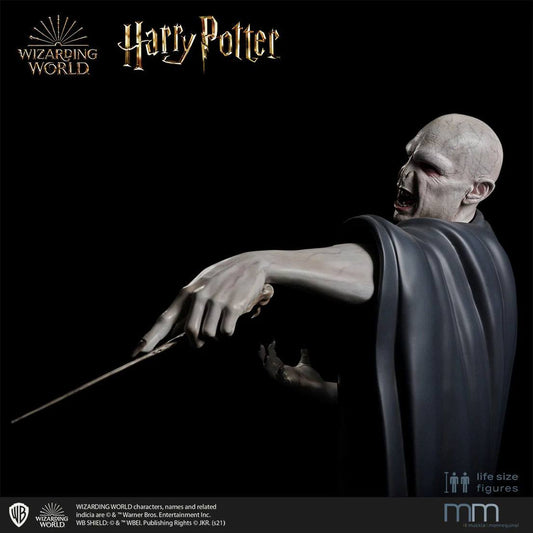 Harry Potter and the Deathly Hallows Life-Size Statue Voldemort 211 cm ETA Mar 2027 - Loaded Dice