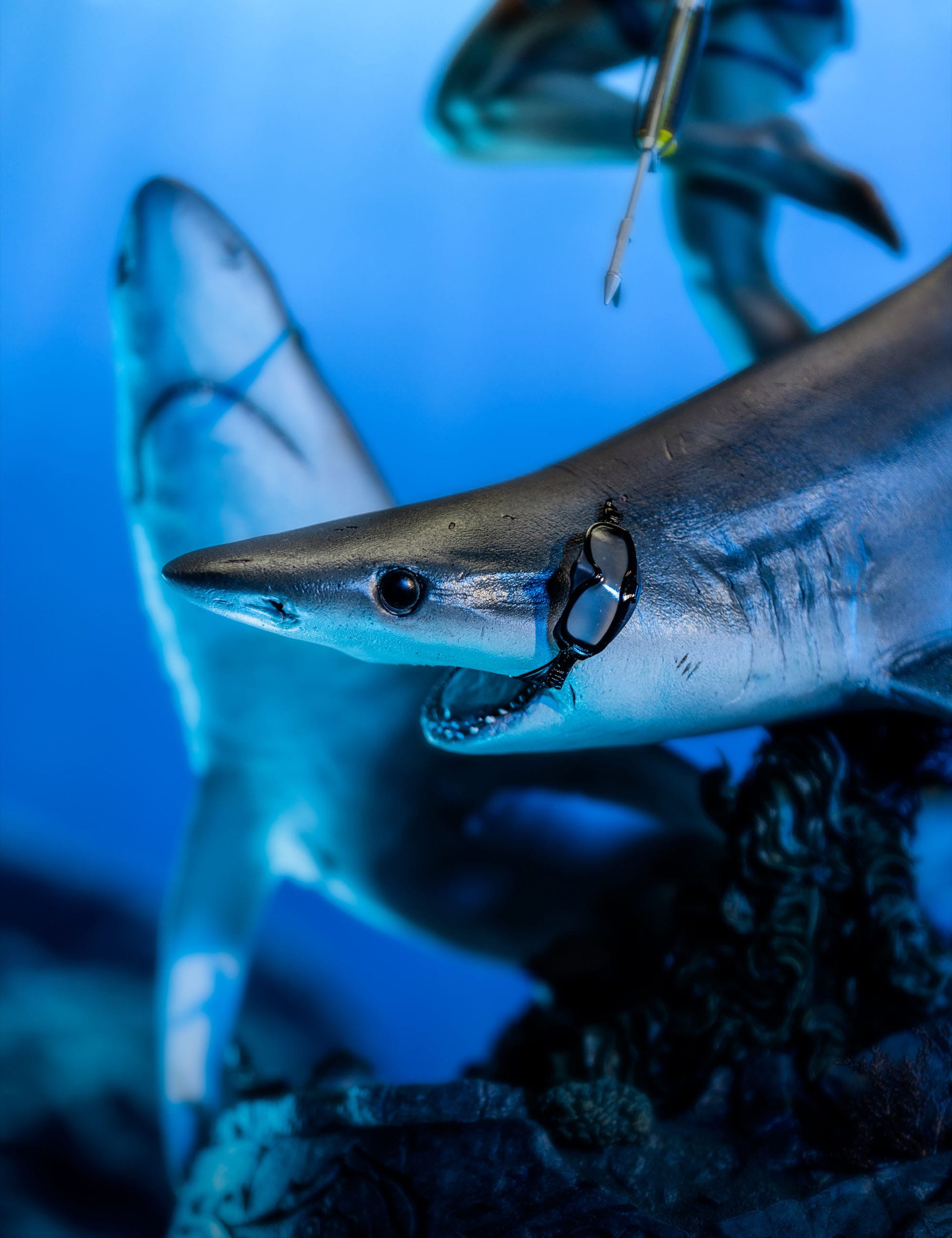 Tomb Raider Statue 1/4 Lara Croft-Quest for Avalon 74cm