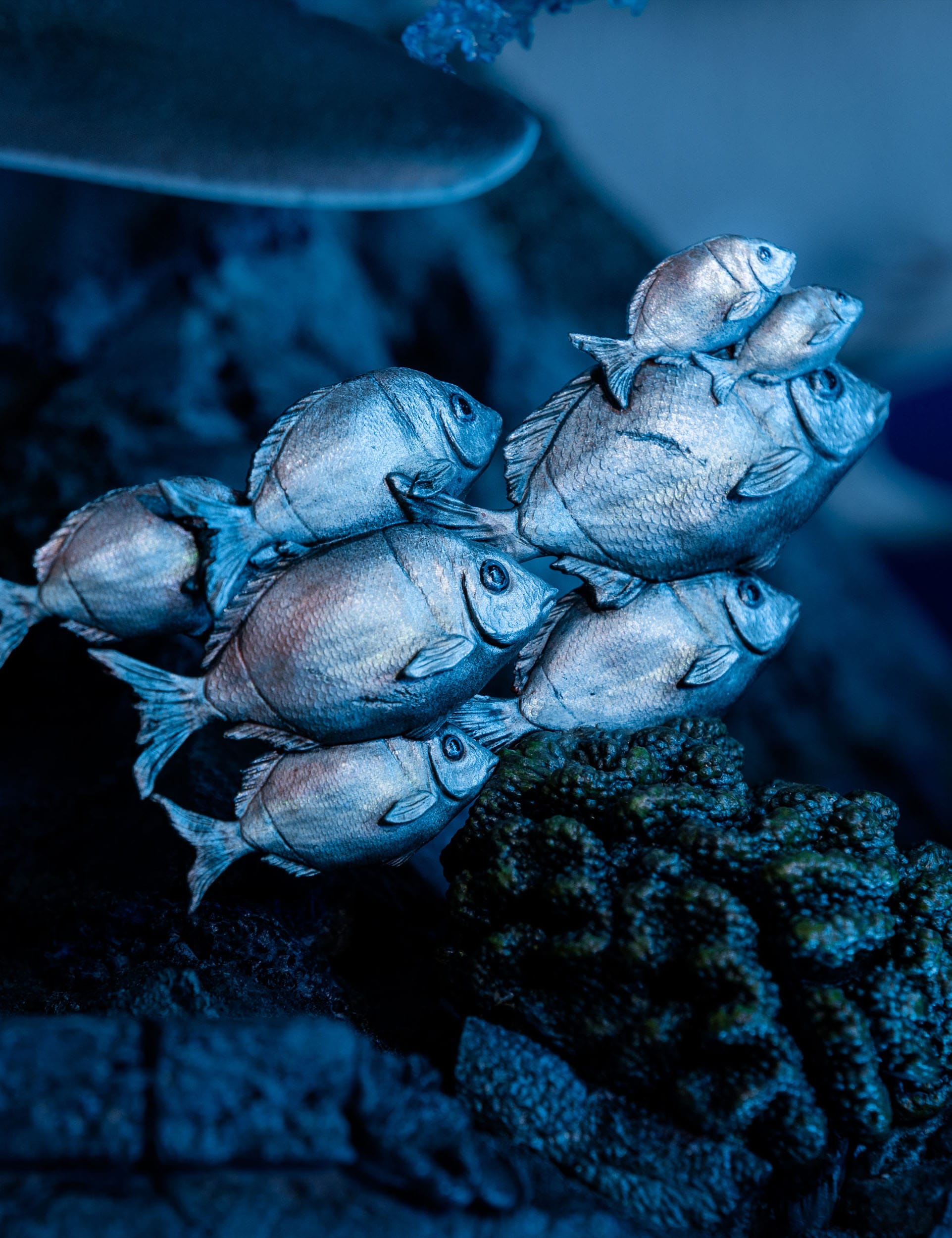 Tomb Raider Statue 1/4 Lara Croft-Quest for Avalon 74cm