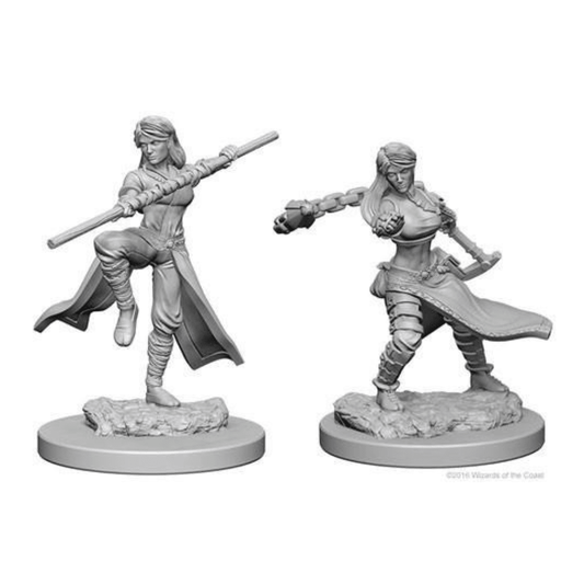 Human Female Monk: D&D Nolzur's Marvelous Unpainted Miniatures (W1) - Loaded Dice