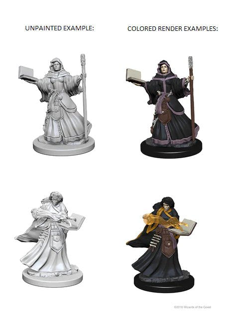 Nolzur's Human Wizard unpainted example figures beside coloured renders of both versions