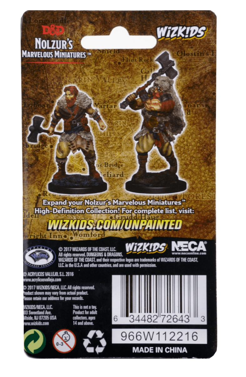 Back of the WizKids Nolzur's Human Barbarian blister pack showing painted example miniatures