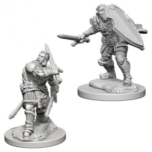 Two unpainted D&D Nolzur's Human Paladin miniatures with sword and shield