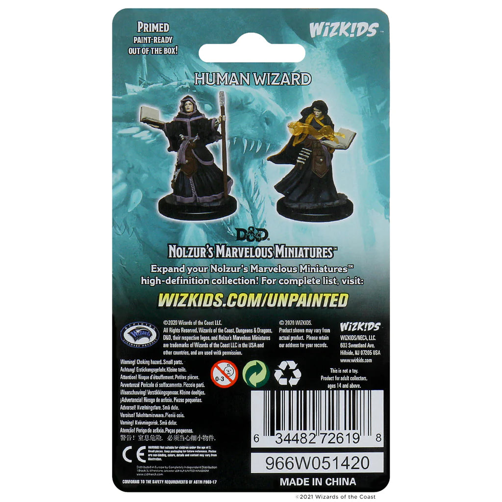 Human Female Wizard (PACK OF 2): D&D Nolzur's Marvelous Unpainted Miniatures (W1) 100D&D - Loaded Dice Barry Vale of Glamorgan CF64 3HD