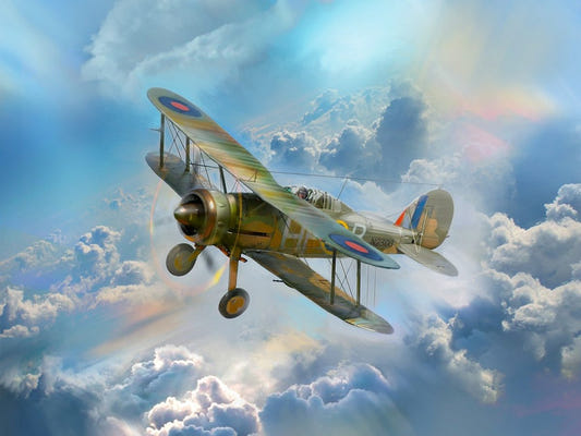 ICM 1:32 Gloster Gladiator Mk.II WWII British Fighter Plane - ICM32041