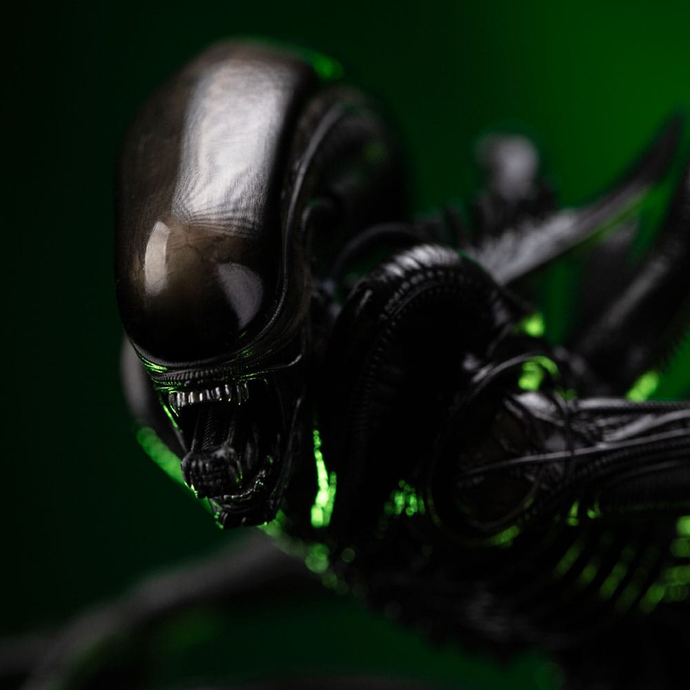 Close-up of the Big Chap xenomorph's glossy domed head and jaws, Iron Studios Alien statue