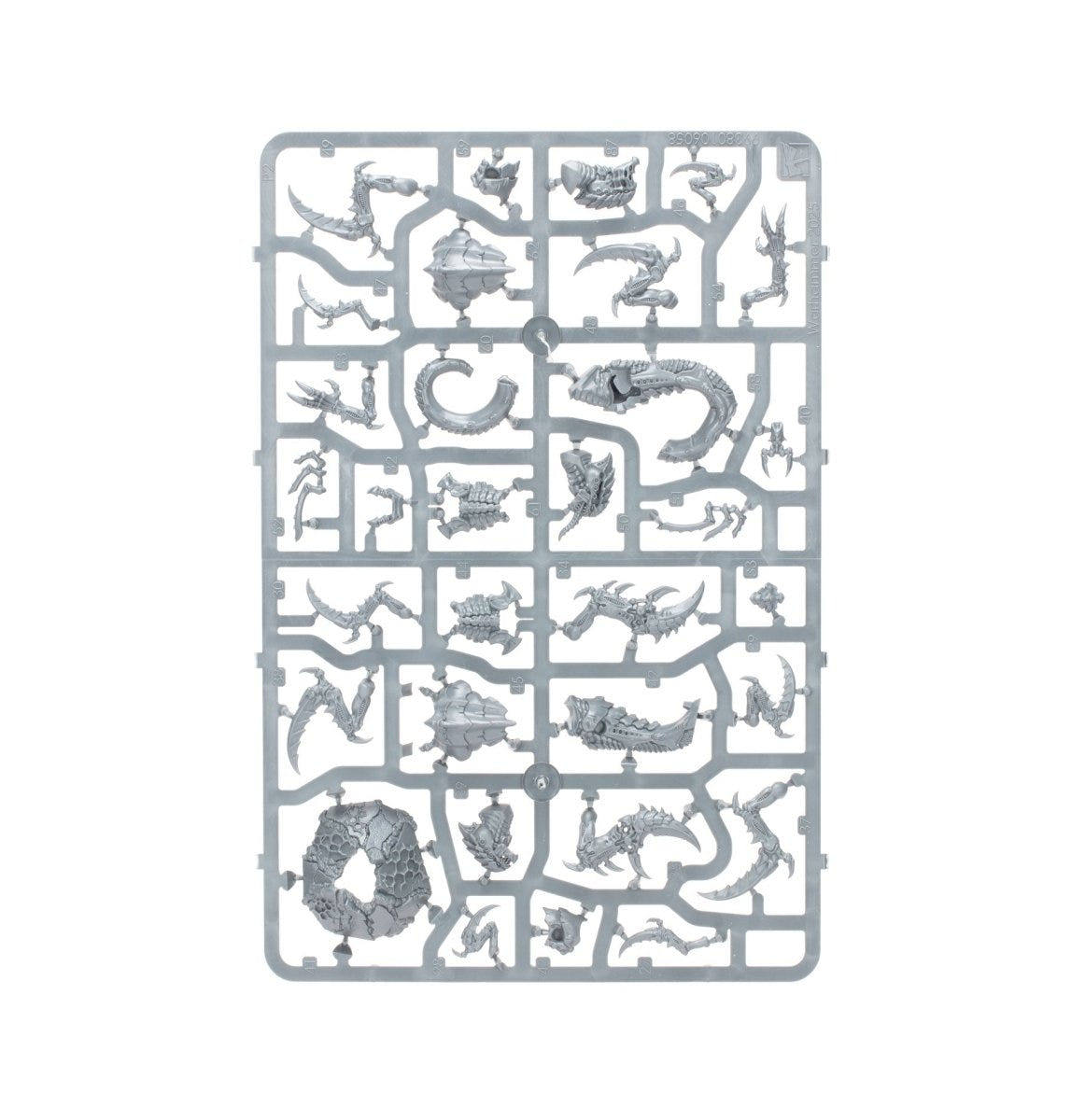 Kill Team Raveners unpainted plastic sprue, frame 2 of 3