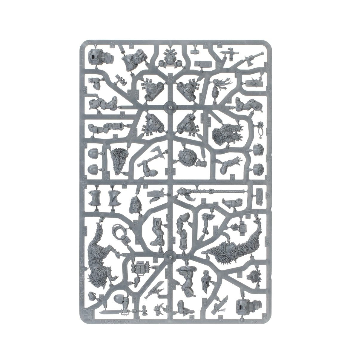 Kill Team: Wolf Scouts unpainted plastic sprue, frame 1 of 2