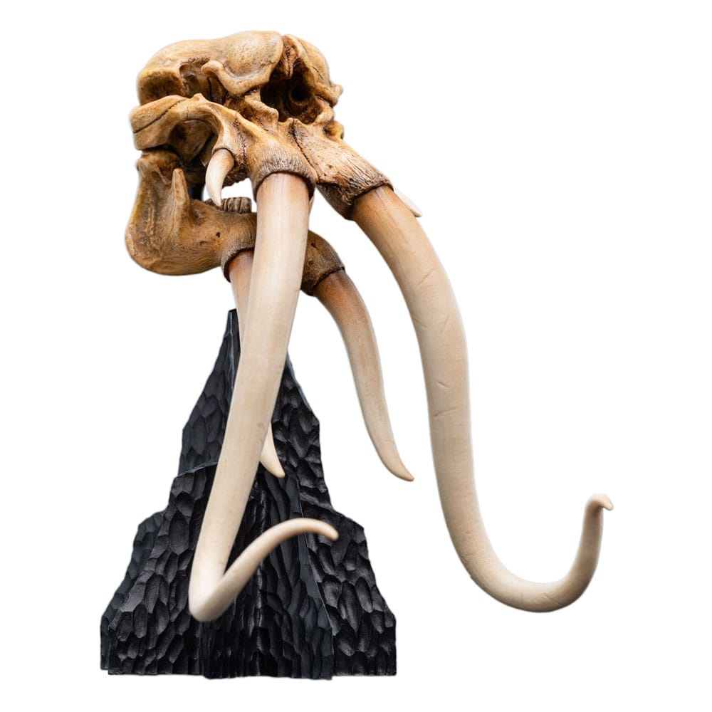 Skull of a Mumak by Weta Workshop, three-quarter view of the domed skull and long tusks