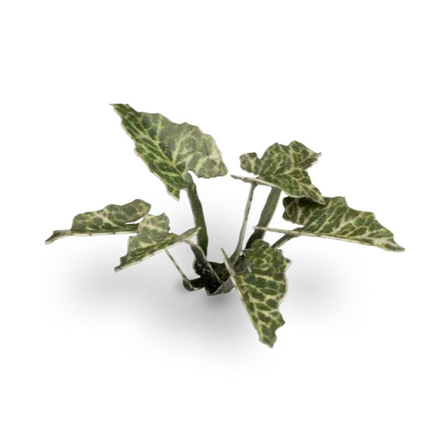 Gamers Grass Laser Plants - Lords-and-Ladies - Loaded Dice