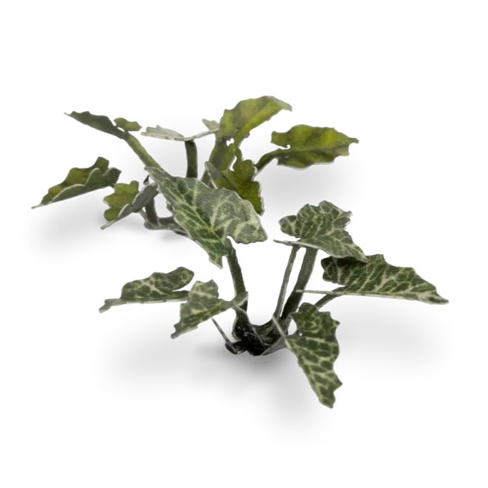 Gamers Grass Laser Plants - Lords-and-Ladies - Loaded Dice