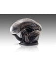 Alien Romulus Bust 1/1 Xenomorph 53cm
