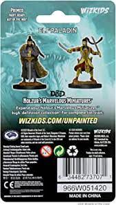 Back of the Nolzur's Elf Paladin pack showing the painted miniatures