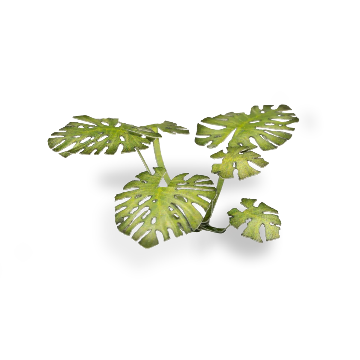 Gamers Grass Laser Plants - Monstera - Loaded Dice