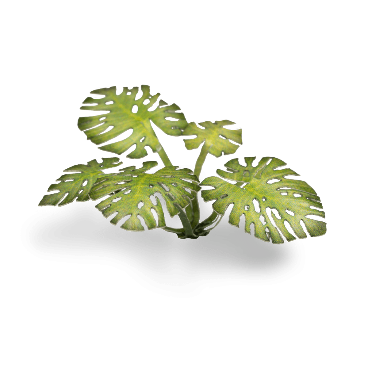 Gamers Grass Laser Plants - Monstera - Loaded Dice