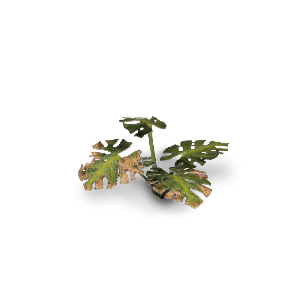 Gamers Grass Laser Plants - Monstera - Loaded Dice