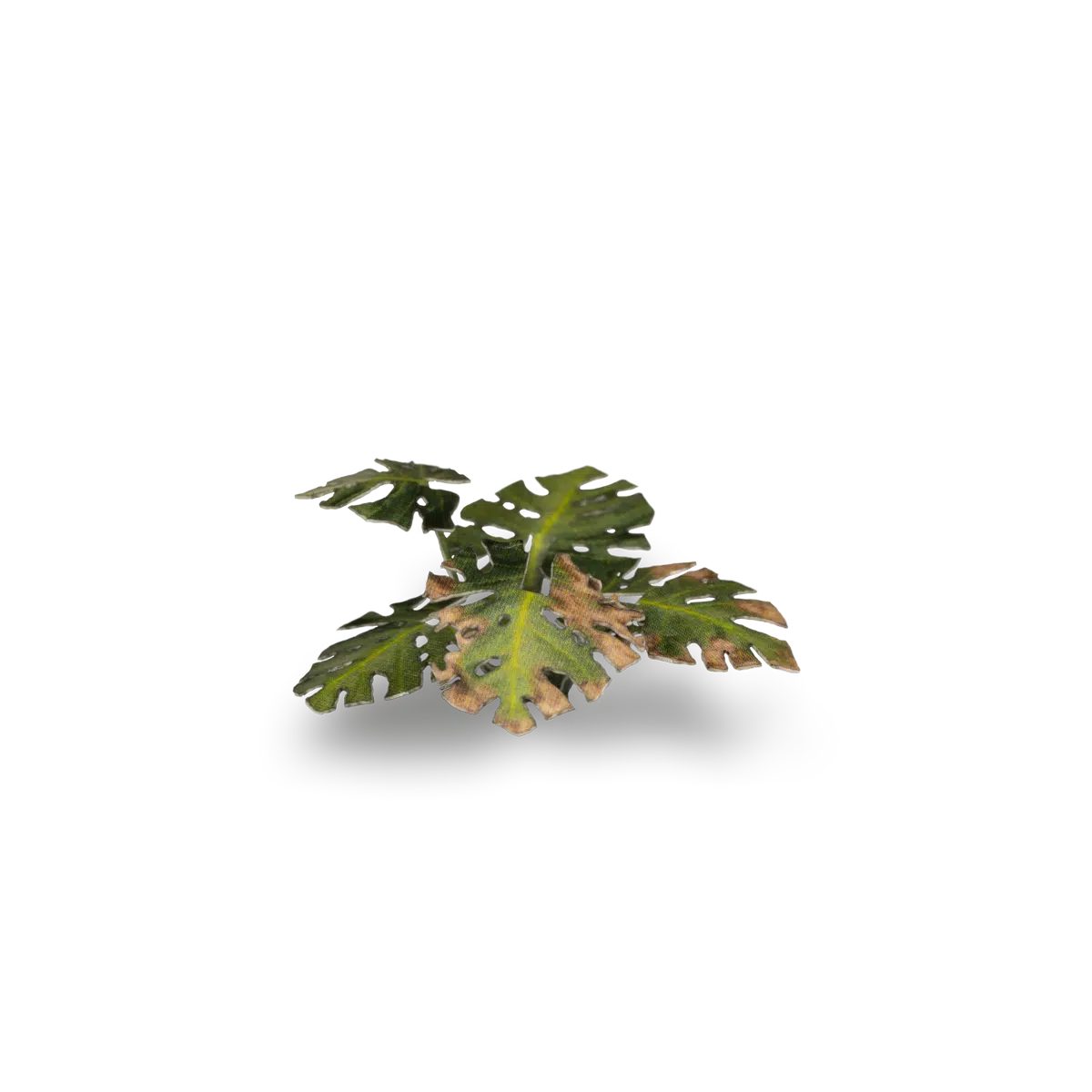 Gamers Grass Laser Plants - Monstera - Loaded Dice