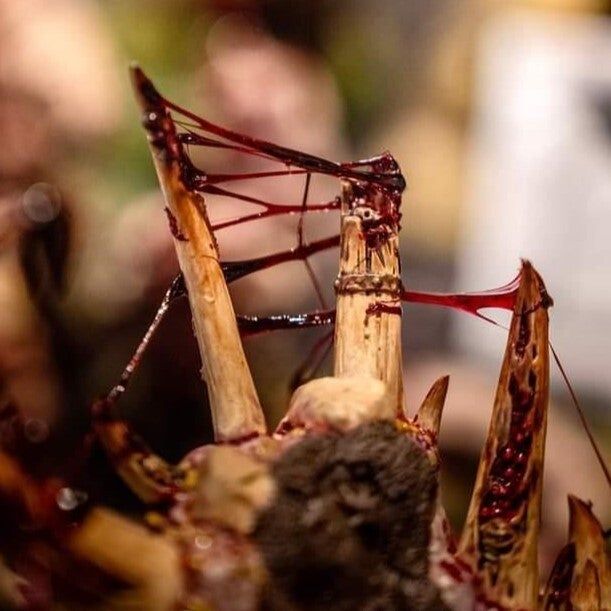 Dirty Down Gore - 15ml - Loaded Dice