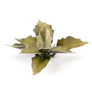 Gamers Grass Laser Plants - Plantain Lily - Loaded Dice