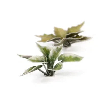 Gamers Grass Laser Plants - Plantain Lily - Loaded Dice