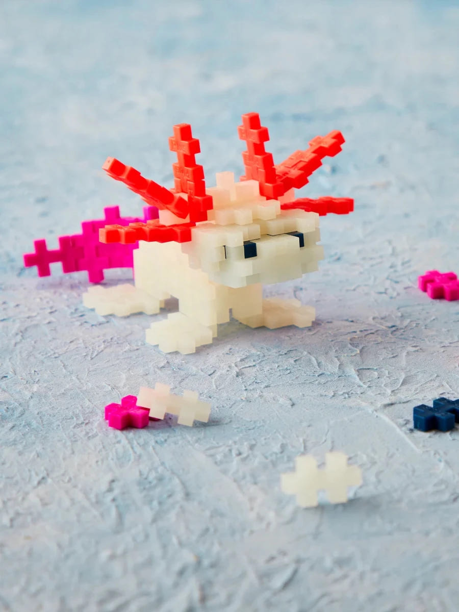 Plus-Plus Axolotl build in play