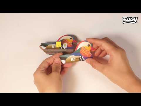 EUGY Mandarin Duck build video
