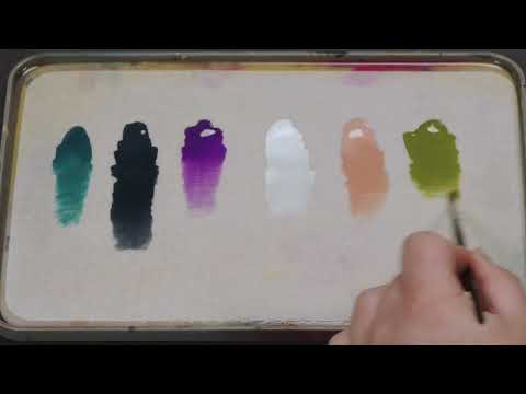 Pro Acryl Signature - Vince Venturella Signature Set - 6 Colors