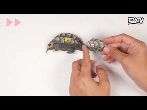 EUGY Pangolin build video