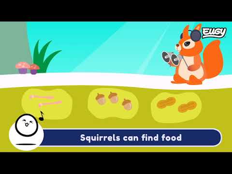 EUGY Squirrel build video