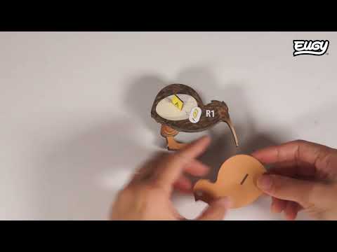 EUGY Brown Kiwi build video