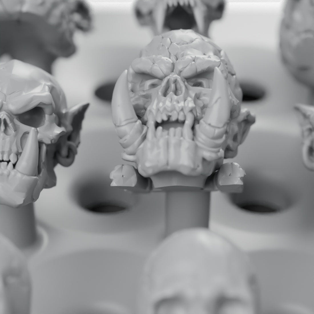 Close-up of a tusked brute skull