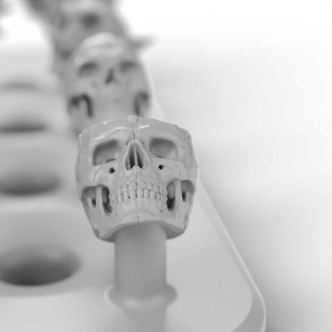 Close-up of an augmented resin skull