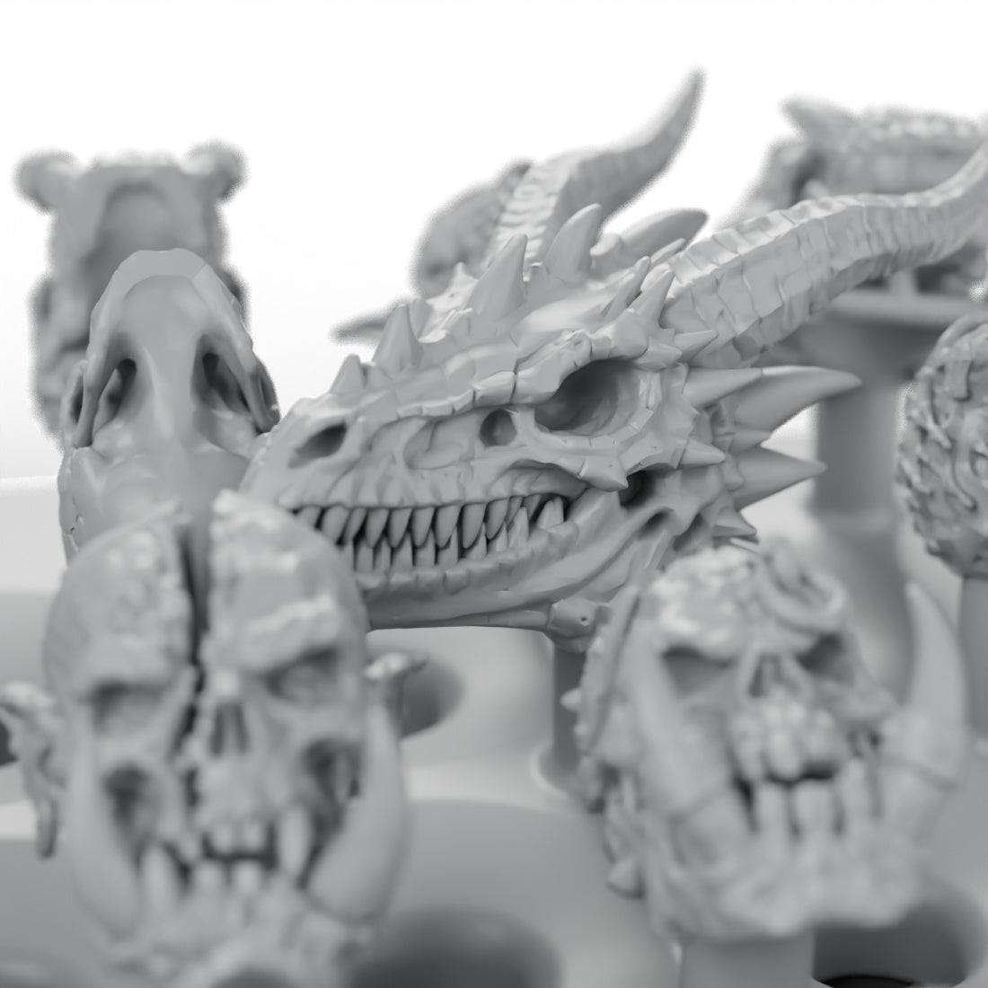 Close-up of the horned dragon skull in grey resin