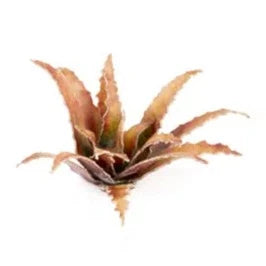 Gamers Grass Laser Plants - Red Aloe - Loaded Dice