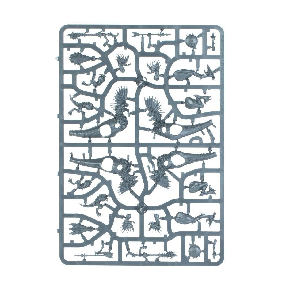 Seraphon Raptadon Hunters unpainted plastic sprue, frame 3 of 3