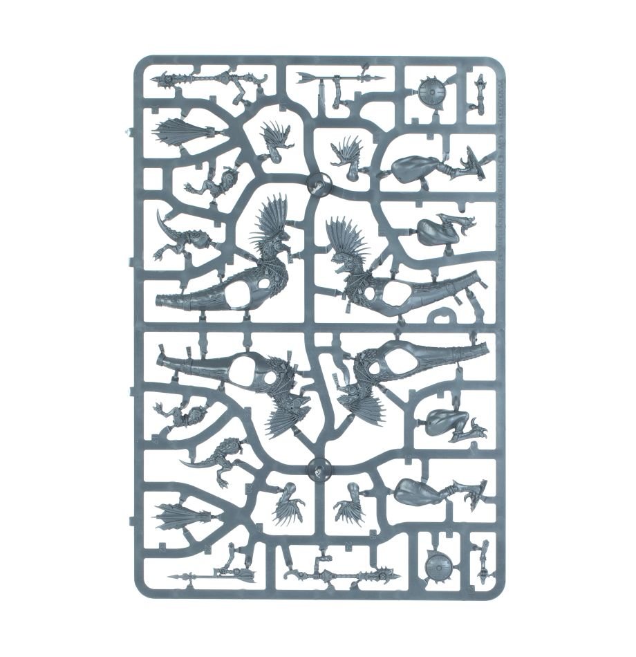 Seraphon: Raptadon Hunters sprue contents - Loaded Dice