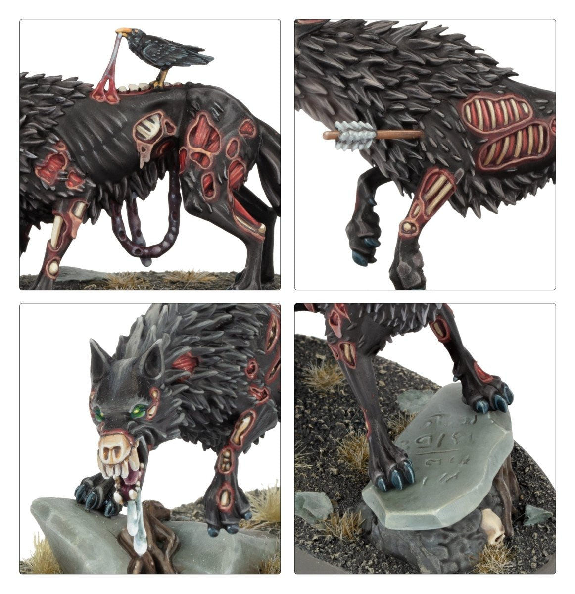 Close-ups of Dire Wolf fur, exposed ribs, arrow wound and crow, painted