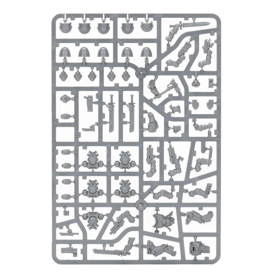 Space Marines: Assault Intercessors sprue contents - Loaded Dice